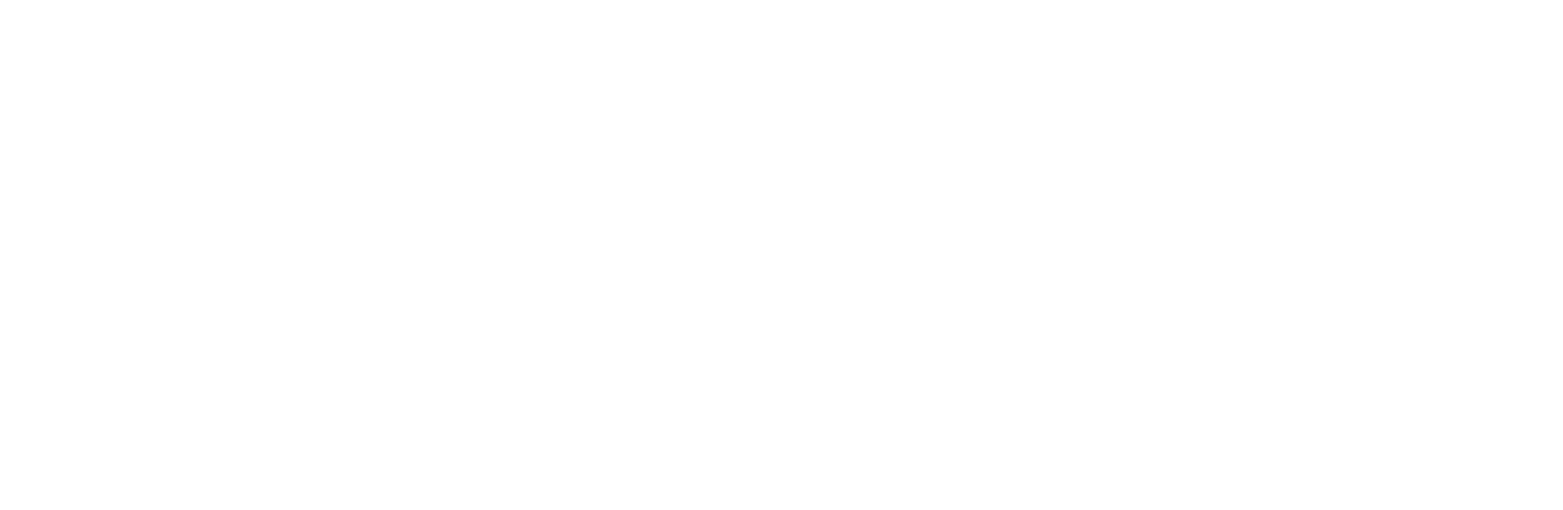 Virginie PERRIN