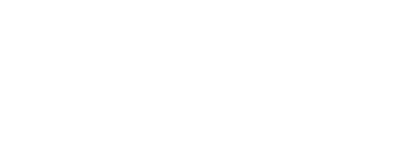 Virginie PERRIN